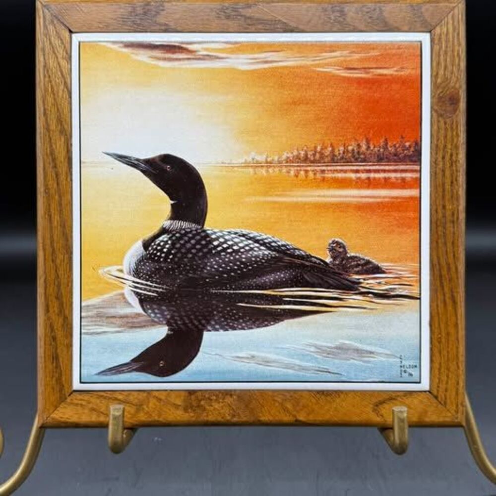 Cyndi Nelson Framed Loon Ceramic Tile Art